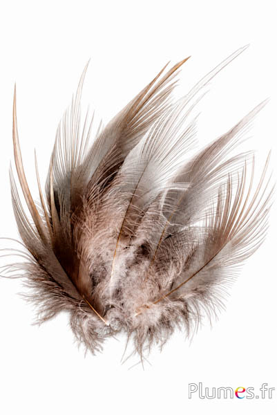Kraanvogel - 12-14 cm - natuurlijk grijs